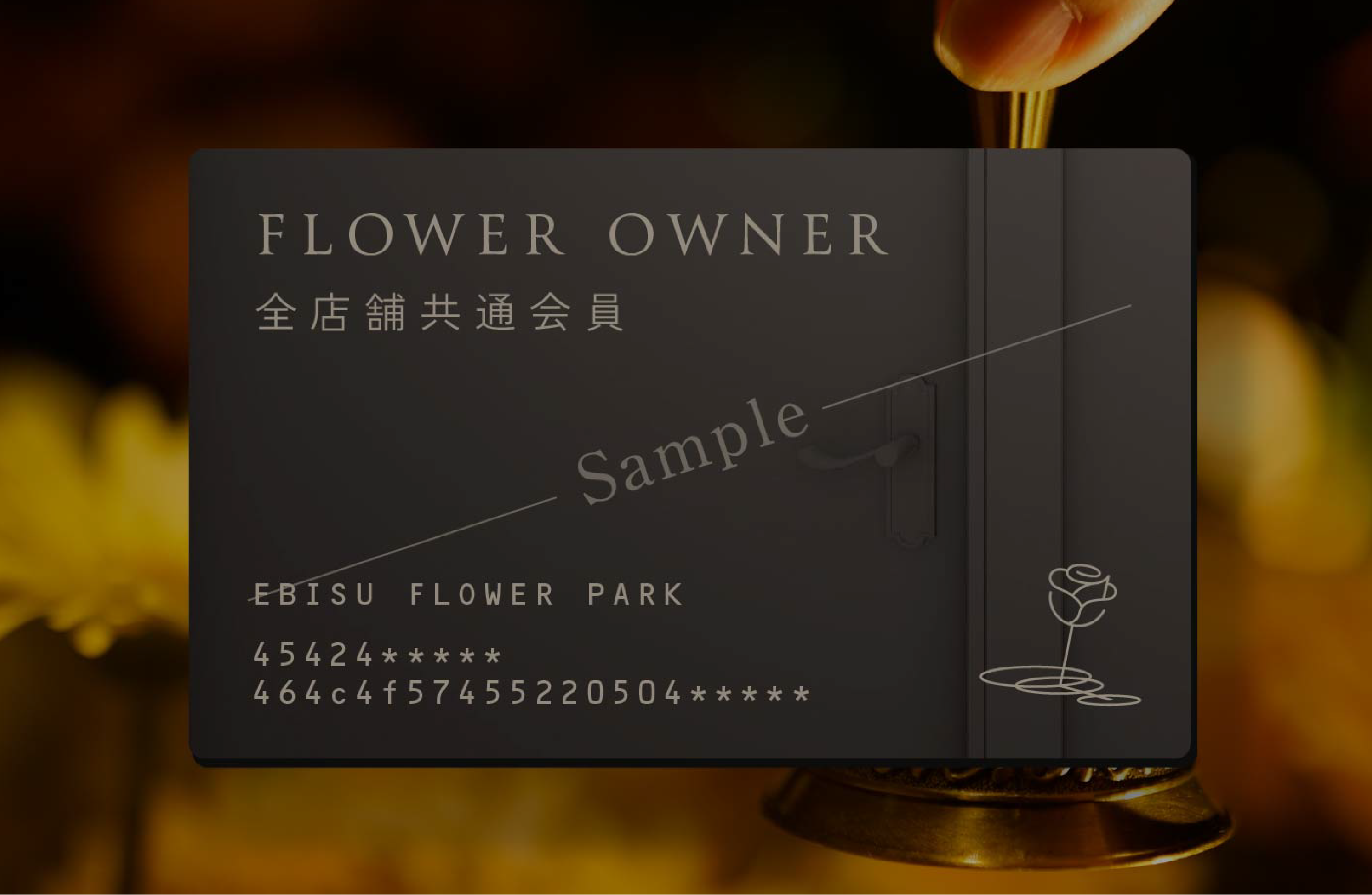 全国12店舗＋今後オープン予定の全ての店舗を利用可能