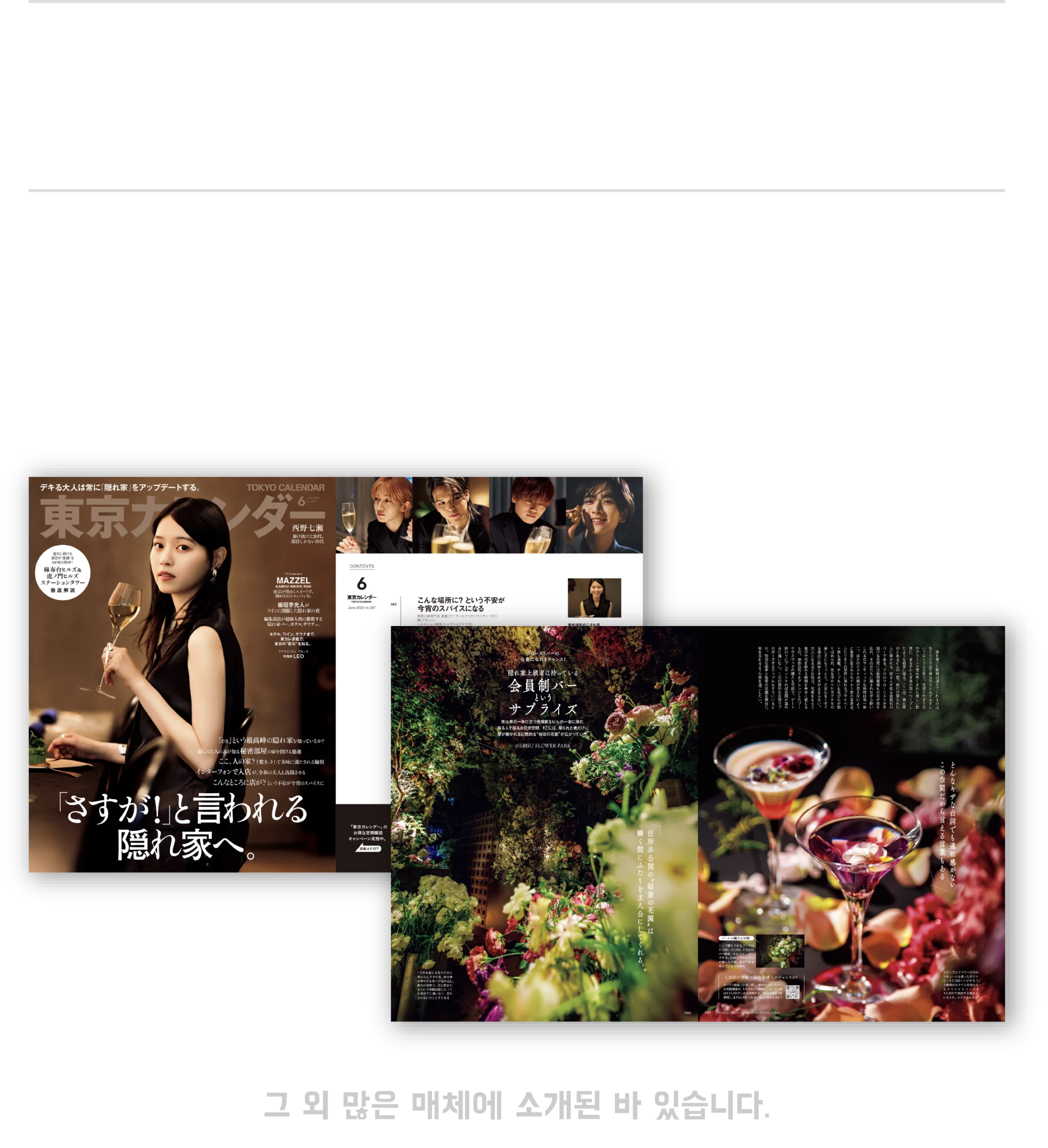 미디어 게재 실적